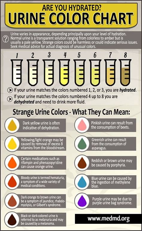 Colors Of Pee And What They Mean Betutuk Heres Exactly What The Color