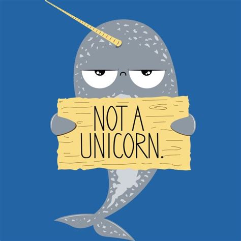 Cute Narwhal Not A Unicorn T Shirt Dont Be Confused Narwhals Are Not