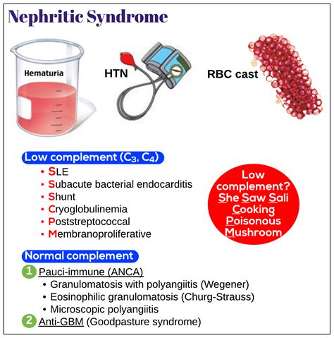 Nephritic Syndrome Introduction Medicine Keys For Mrcps