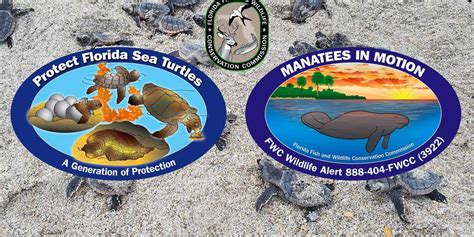 Stick With Manatees And Sea Turtles By Collecting This Years Fwc Decals