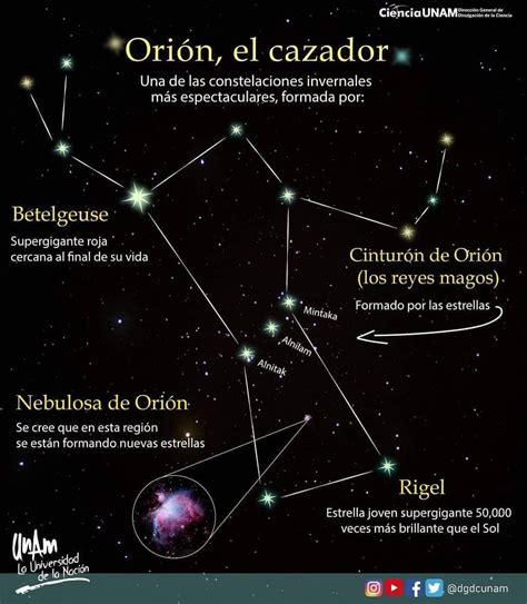 La Famosa Constelación De Orión Sin Duda Una De Las Más Populares Crédit Orion S Belt School