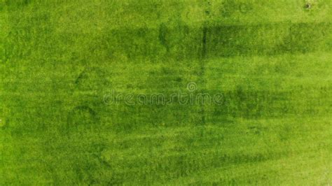 Aerial Green Grass Texture Background Top View From Drone Stock Photo