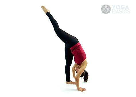 Standing Splits Pose Asana Instructions And Photos Yoga Basics