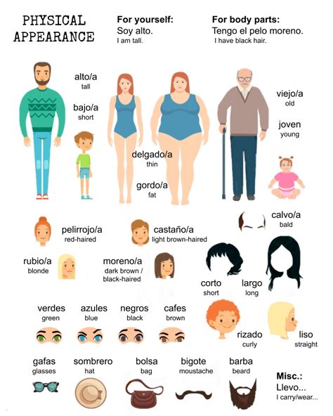 Physical Appearance Spanish Adjectives And Conversation Practice For