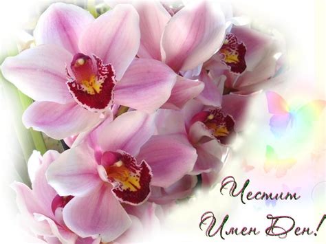 We did not find results for: Плевен За Плевен - Честит имен ден на Златка, Златина и ...