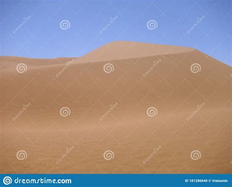 Desert Wasteland Sand Dune Sahara Stock Photo Image Of Animal Nature