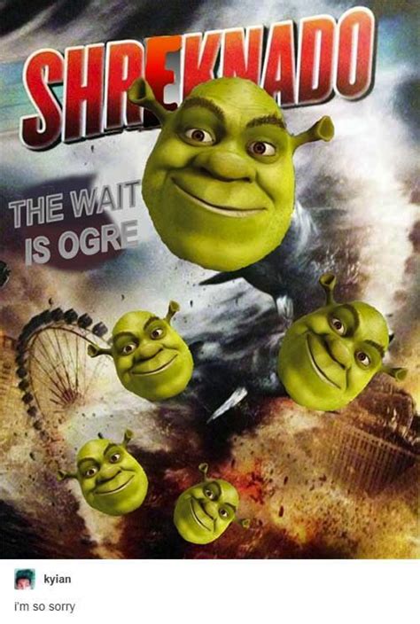 183 Best Shrek Images On Pinterest Shrek Princess Fiona And Comic