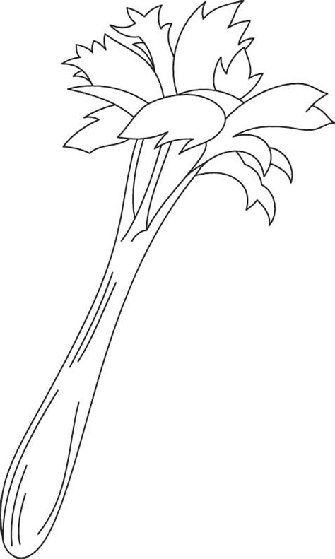 We have collected 37+ celery coloring page images of various designs for you to color. Growing celery coloring page | Download Free Growing ...