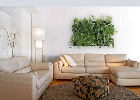 Llenan los rincones, paredes y techos de vida y mejoran el estado de ánimo. Como colocar los sofas y puffs en el salon. Ideas para tu ...