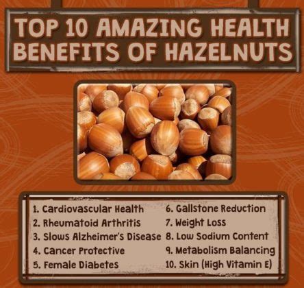 Marvelous Health Benefits Of Hazelnut My Health Only