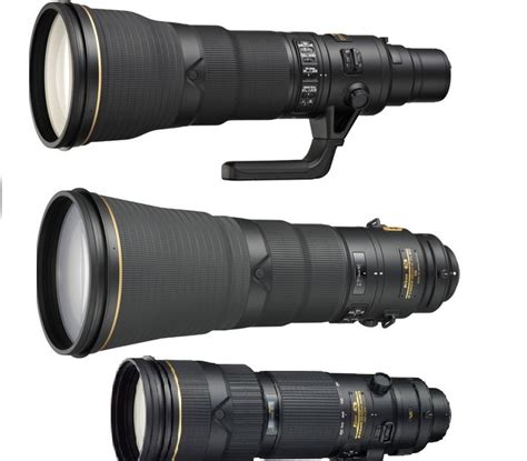 Best Nikon Lenses For Wildlife Photography Camera Times