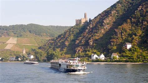 Rhine Main Danube River Cruise Peak Season Price Comparisons 2019