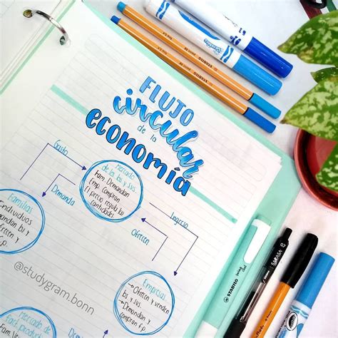 Mapas Mentales Libreta De Apuntes Titulos Bonitos Para Apuntes Cuaderno