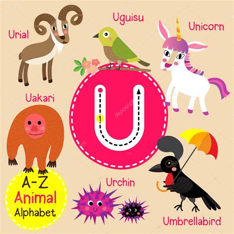 Cute Children Zoo Alphabet U Letter Tracing Of Funny Animal Cartoon For