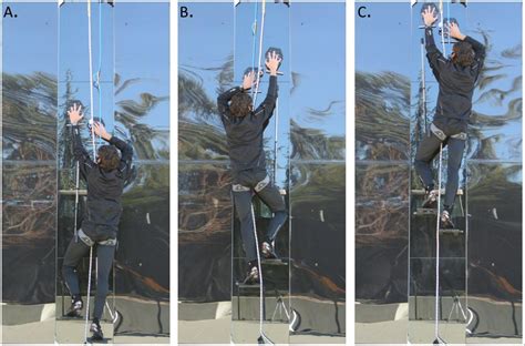 Gecko Inspired Pads Allow Researchers To Climb Glass Wall