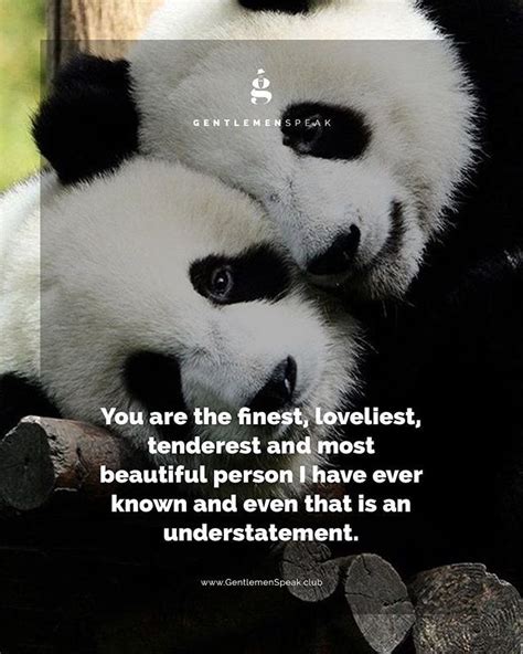 Panda Quotes For Instagram Shortquotescc
