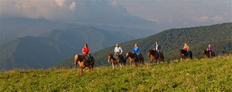 11 Of The Best Smoky Mountain Horseback Riding Gatlinburg Pigeon Forge