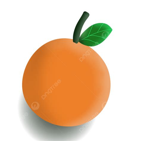 Orange Fruite Clipart Hd Png Orange Fruit With Leaf Fruit Orange