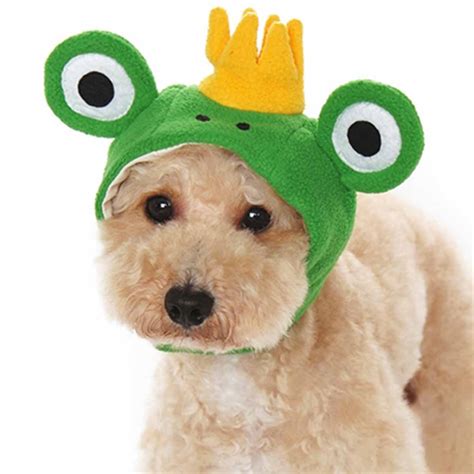 Prince Frog Dog Hat By Dogo With Same Day Shipping Baxterboo
