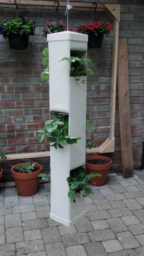 Which is the best hanger for patio plants? Pin on Vertical Gardens