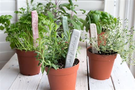 Plant Labels Diy Stamped Clay Herb Garden Markers Resin Crafts Blog