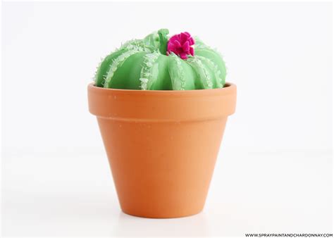 To grow a mini cactus, find a sunny spot and water the cactus only twice per month. DIY: CACTUS PUMPKIN | Spray Paint & Chardonnay