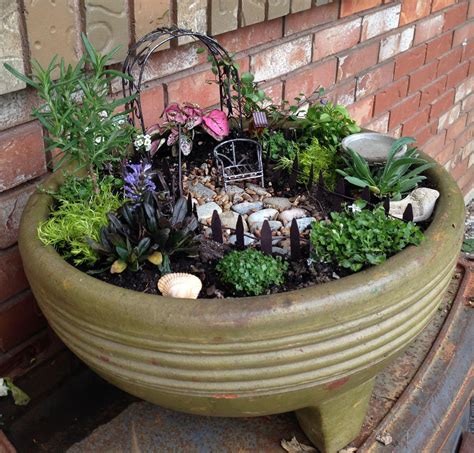Best Plants For Fairy Gardens Cool Product Review Articles Packages