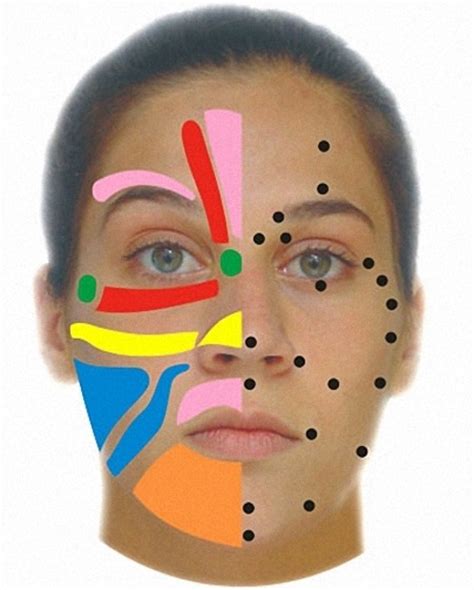 C Mo Hacer La Reflexoterapia Facial Entretantomagazine