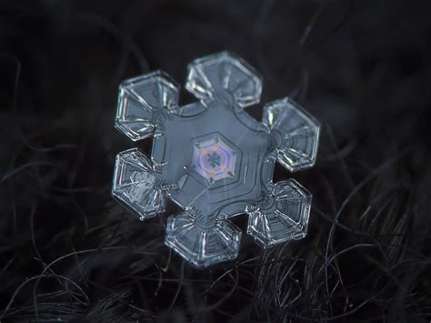 These Macro Photos Of Snowflakes Are Totally Breathtaking Amazing