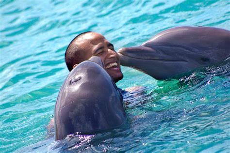 Dunns River Falls And Dolphin Royal Swim From Montego Bay Karandas