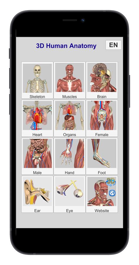 Education Mobile 3d Anatomy App