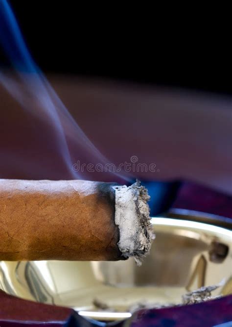 Smoldering Cigar Stock Image Image Of Wisp Stogie Smokey 19422993