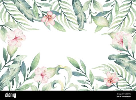 hand drawn watercolor tropical flower background exotic palm leaves jungle tree brazil tropic