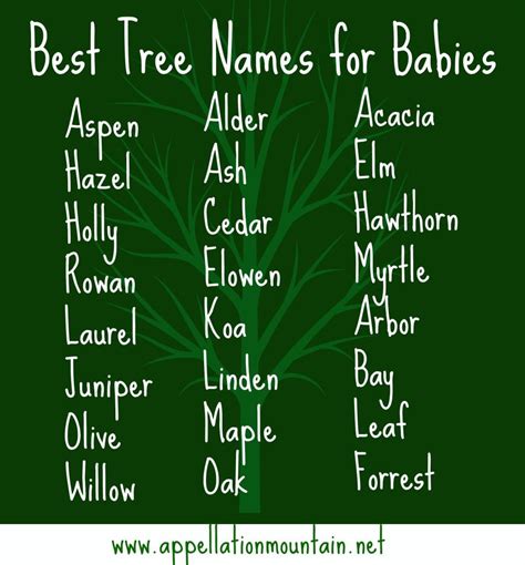 Best Tree Names For Babies Arbor Rowan Acacia Appellation Mountain