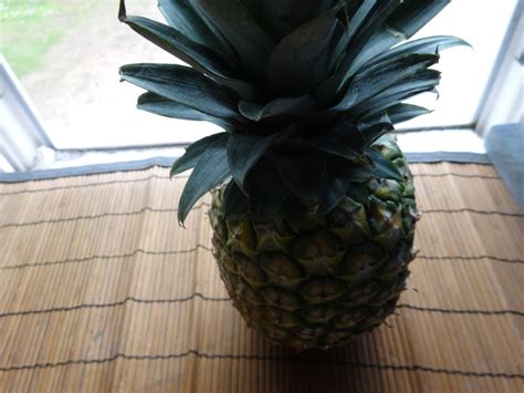 How To Grow A Pineapple Indoors