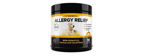 Best Allergy Relief For Dogs In 2021 Buying Guide Gear Hungry