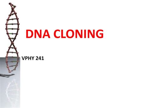 Introduction To Dna Cloning Ppt