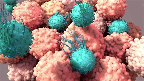 T Cells Attacking Cancer Cells Stock Video Clip K0103679 Science