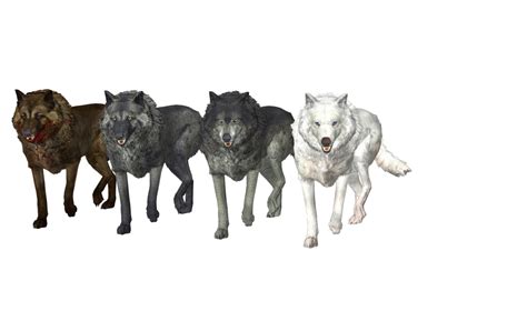 Maybe you would like to learn more about one of these? Wolf Pack Free PNG Image | PNG Arts