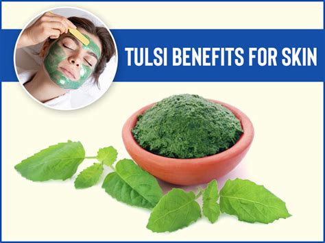 Skincare Benefits Of Tulsi Holy Basil How To Use Onlymyhealth
