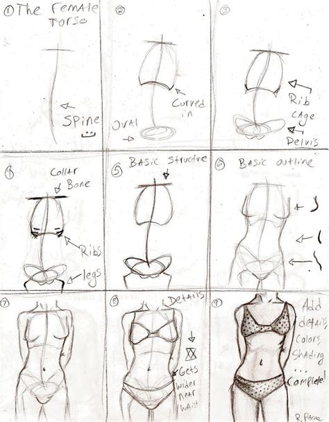 Female Body Tutorial Drawing ~ Female Body Tutorial Tips And Mistakes