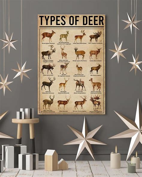 Types Of Deer Poster Hunting Technique Poster Poster Art Design