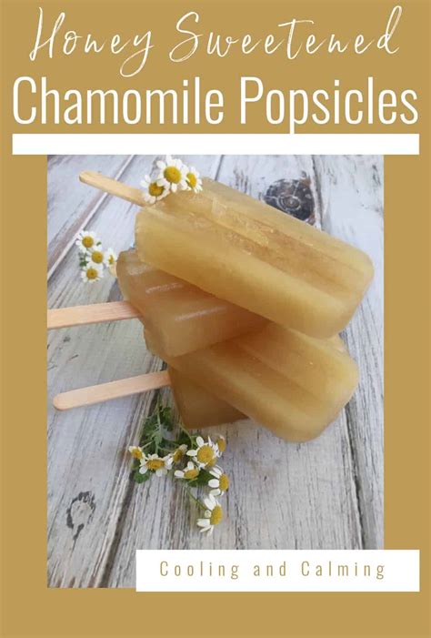 Honey Sweetened Chamomile Popsicles The Pistachio Project