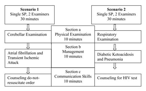 Format Of The Modified Osce Each Modified Osce Scenario Was Subdivided