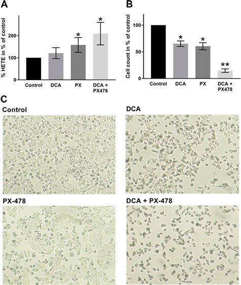 The Combination Of Dca And Px 478 Leads To Increased Ros Activity In