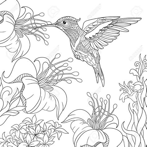 They are winged bipedal animals omeotermi and oviparous. Stock Vector | Bird coloring pages, Flower coloring pages ...