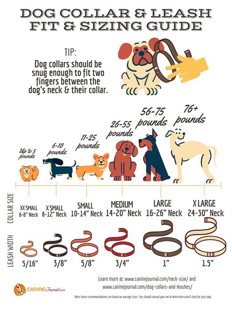 Whats Your Dog Breeds Average Neck Size And Weight Dog Collars