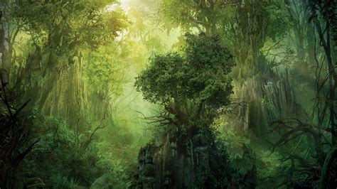 Fantasy Forest Rock And Trees Hd Magic The Gathering Wallpapers Hd