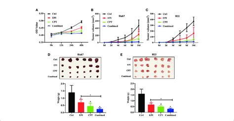 down regulation nrf2 by cpt suppressed proliferation of huh7 cells download scientific