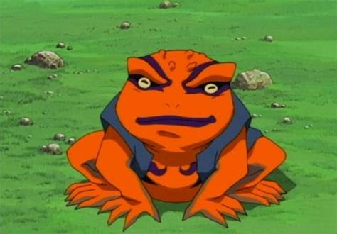 80 Naruto Inspired Names For Frogs And Frog Characters